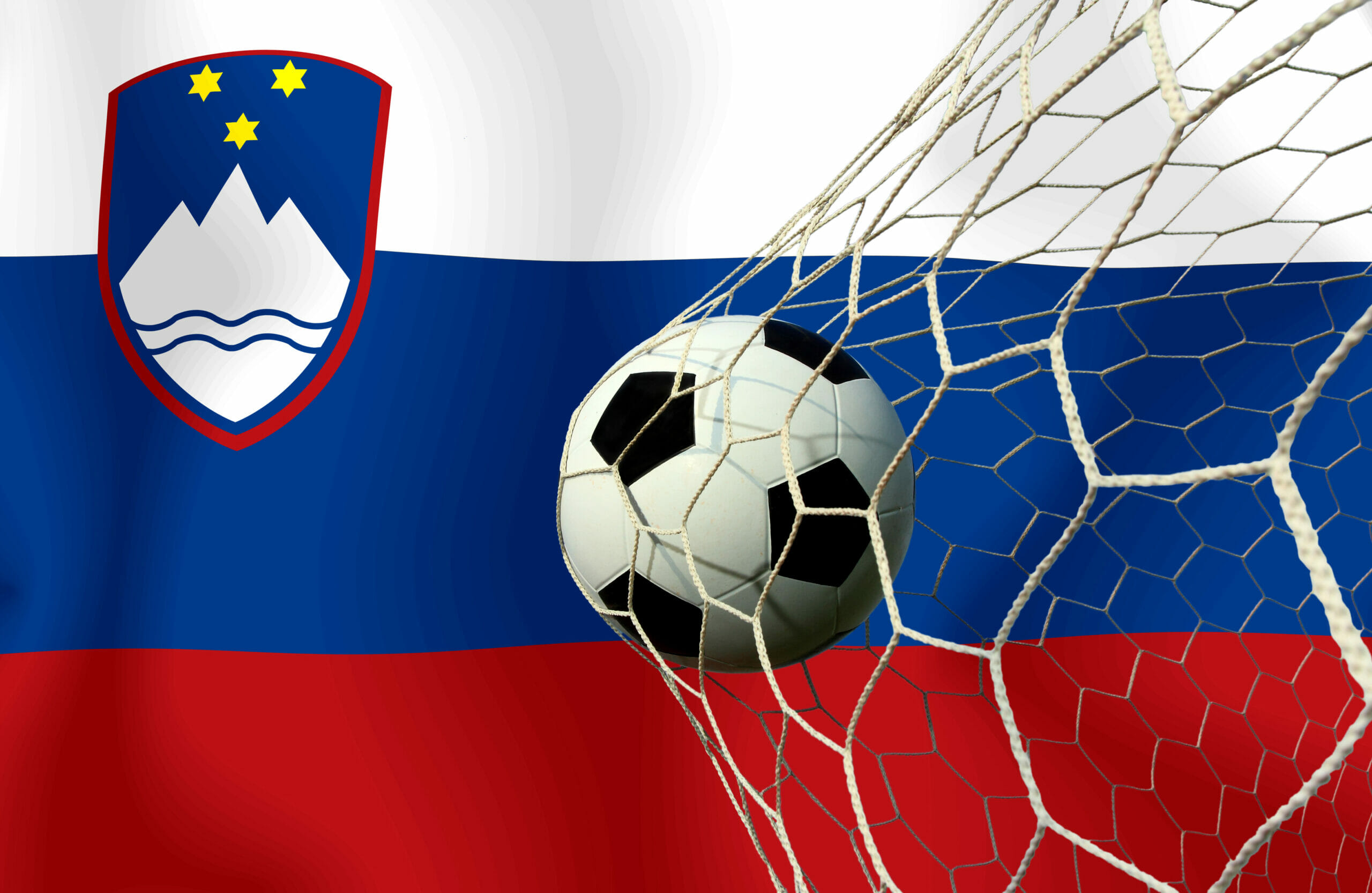 Slovenia Ball in net